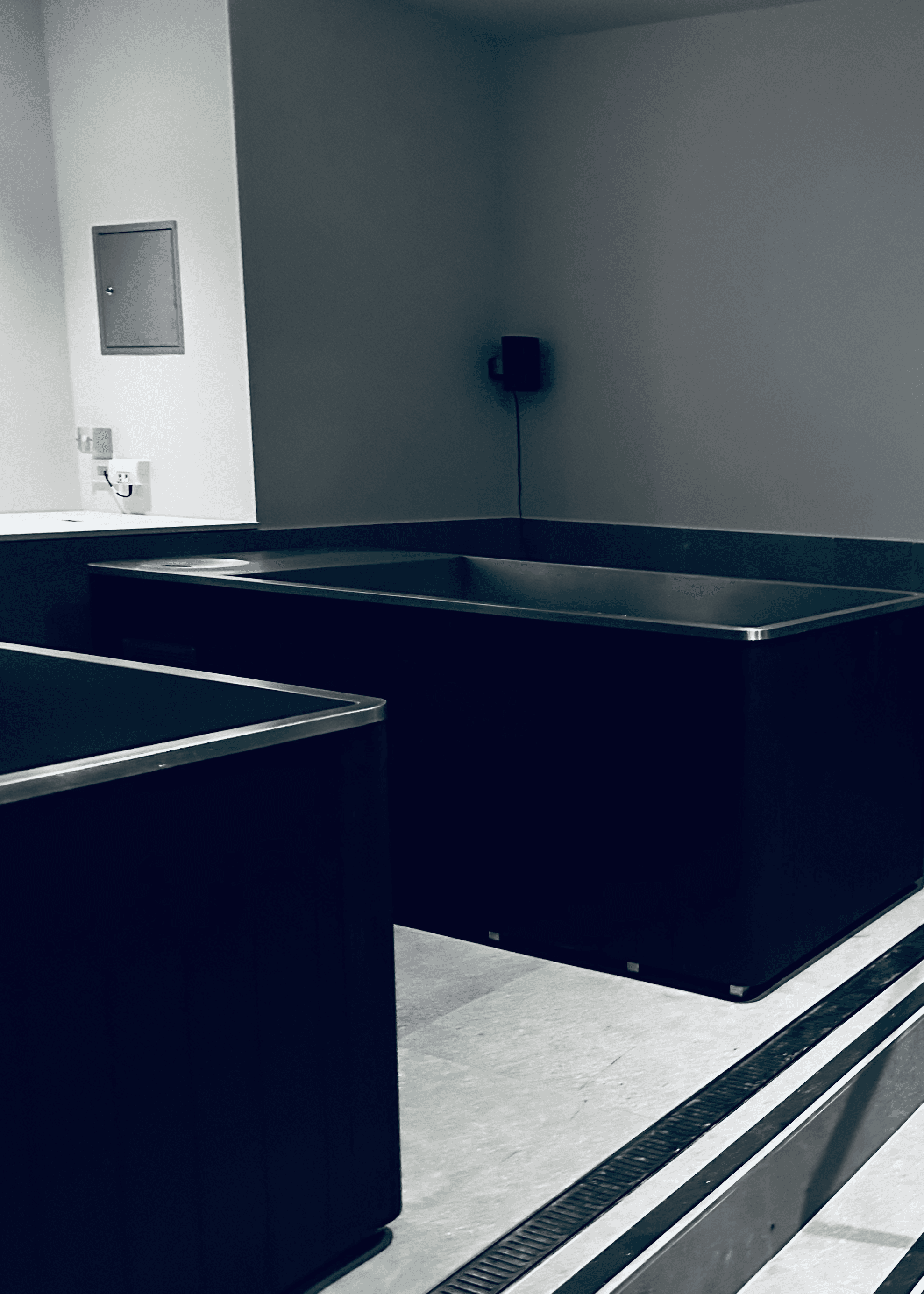 Cold plunge pool